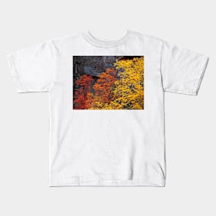Zion Falls Colors Kids T-Shirt